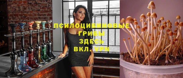 spice Волоколамск